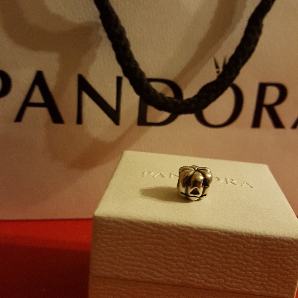 Pandora Pumpkin/ Jack-o-Lantern  charm